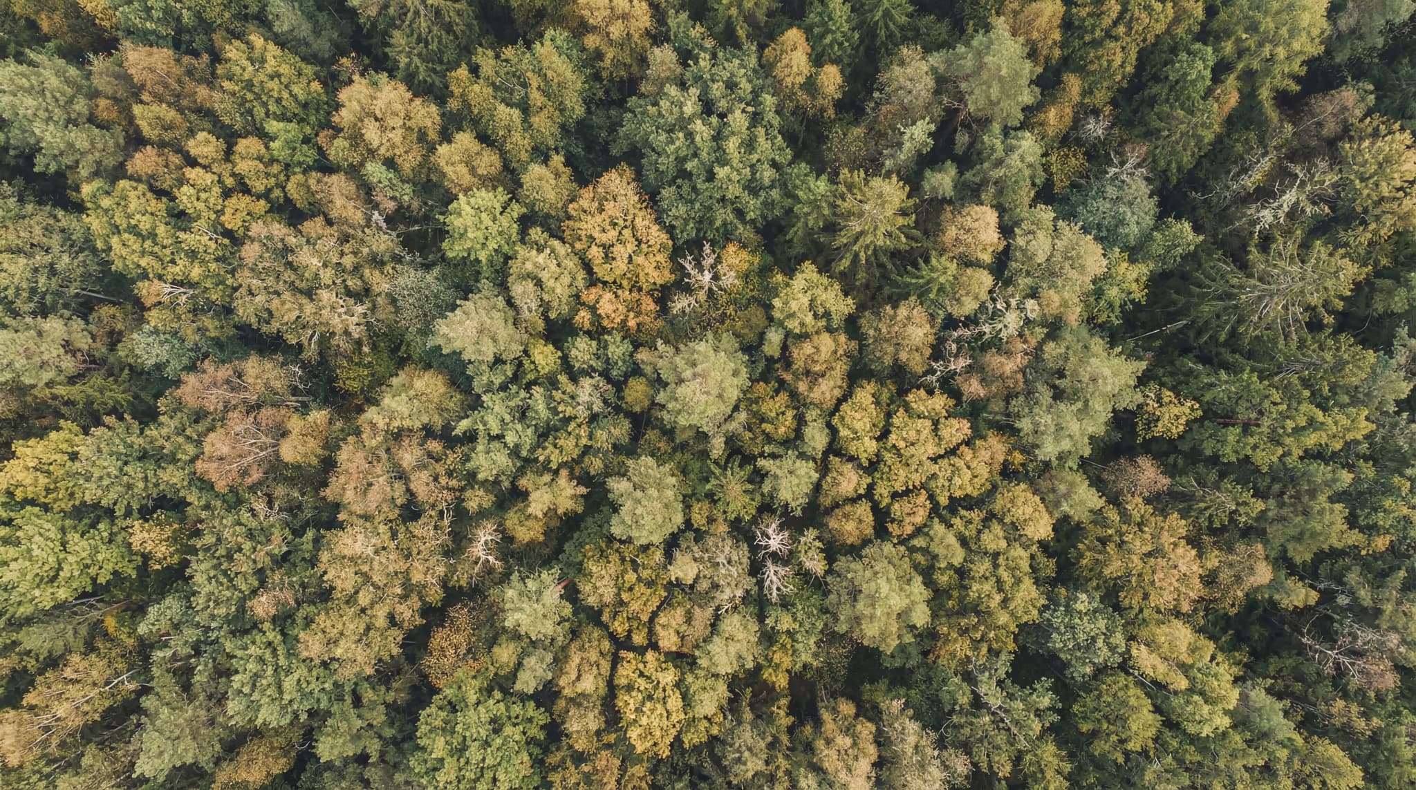 Healthy sustainable living