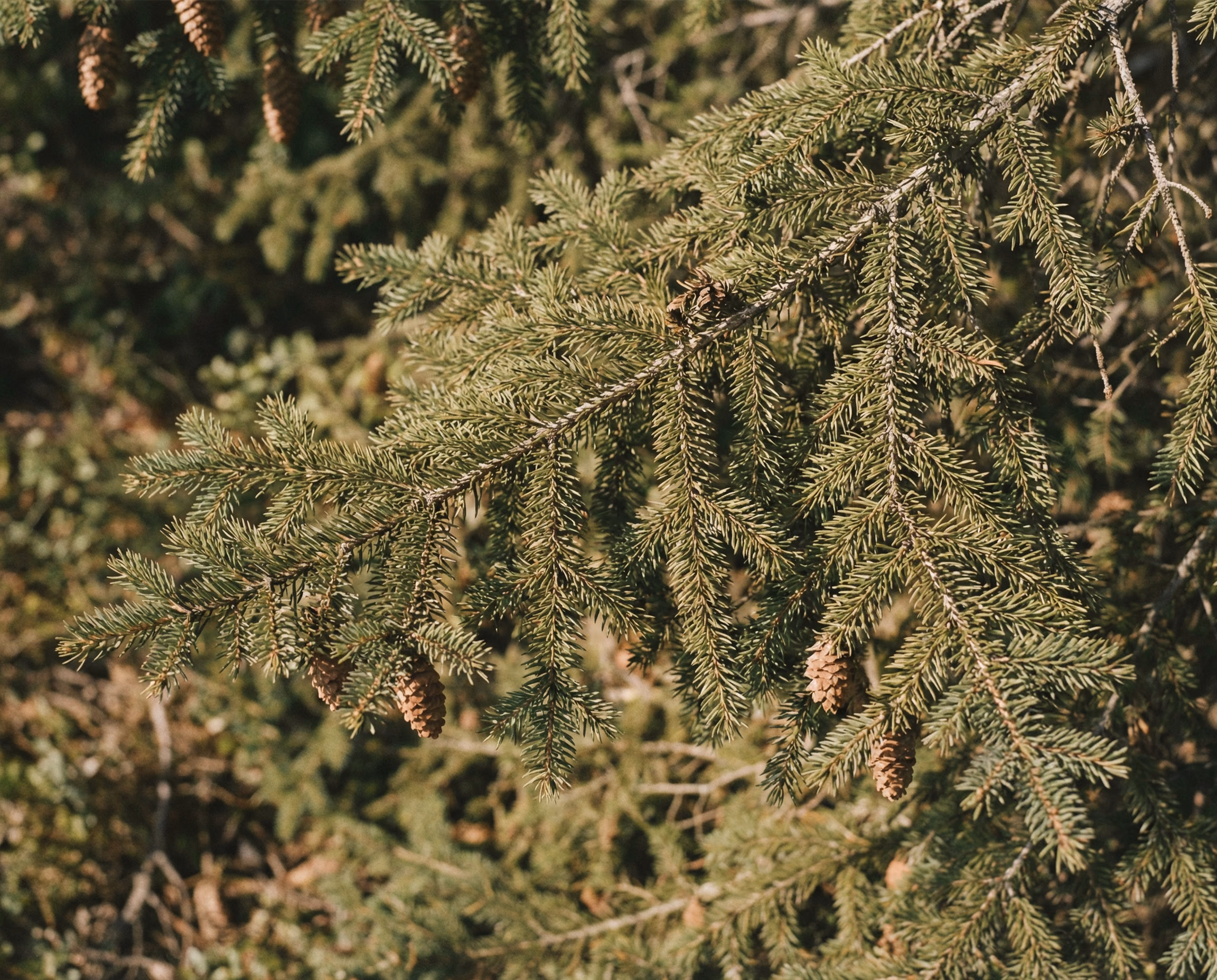 Full lifecycle transparency.