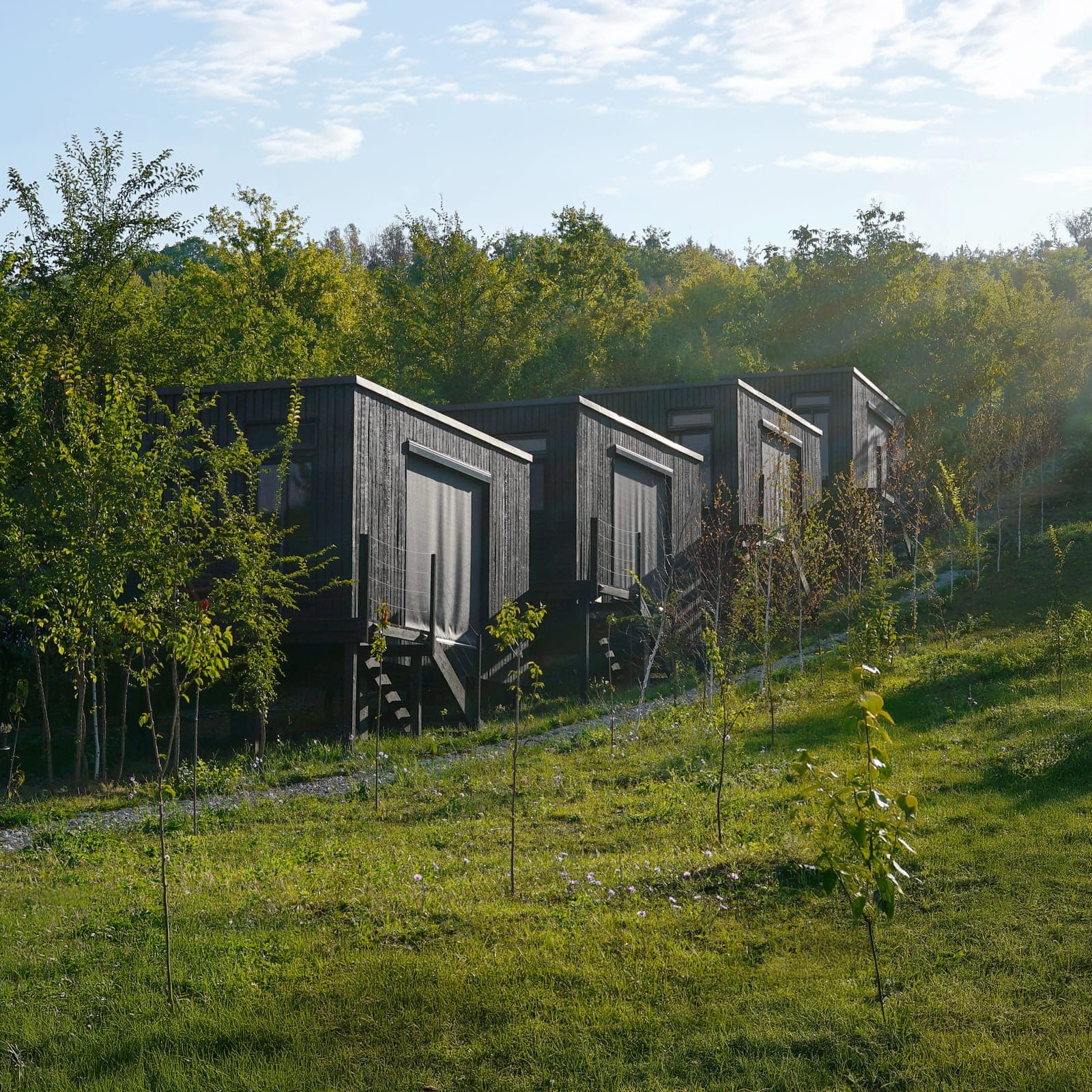 Four Nest 24 m² homes on a hillside at first light.