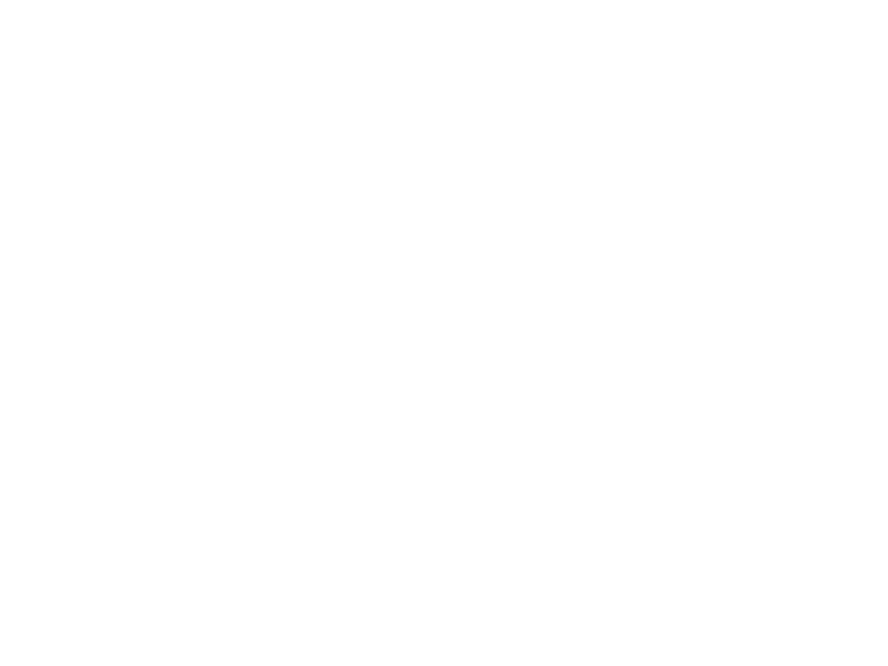Schneider