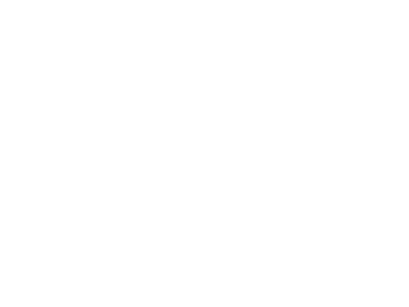 Steico