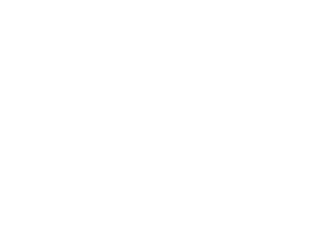Steico