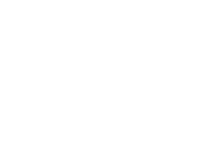 Villeroy & Boch
