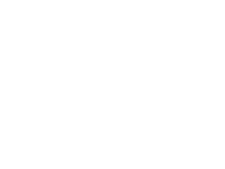 Villeroy & Boch