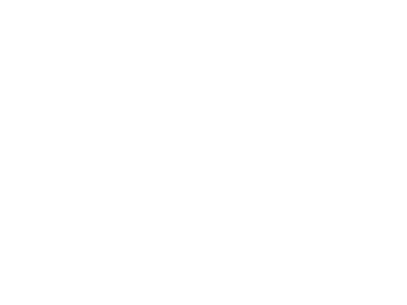 Zehnder
